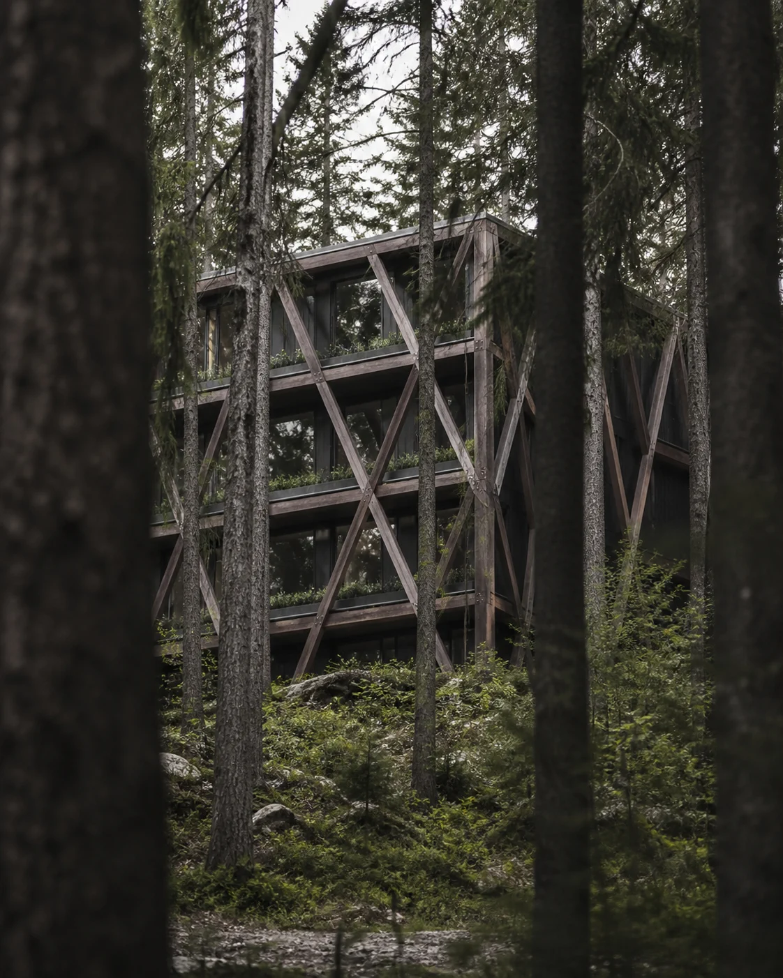 林網木居 - 建築空間 - 圖片 2